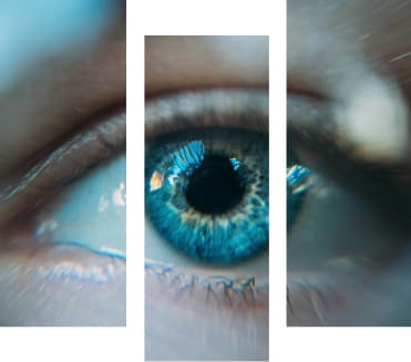vision image